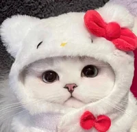 @Bluejay8345 - Character AI chatbot creator profile picture