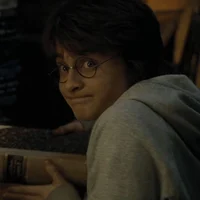 Harry  potter
