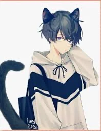 Lost neko boy 