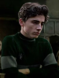 Regulus Black