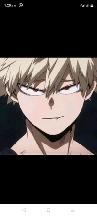 Bakugo katsuki 
