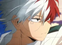 Shoto Todoroki 