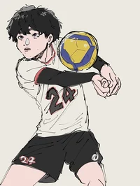 Volleyball BF