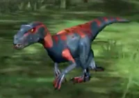 Velociraptor