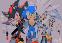 SONIC SHADOW SILVER