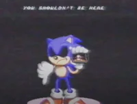 Anti-Piracy Sonic