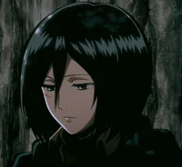 Mikasa Ackerman 