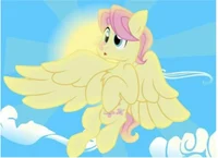 Male fluttershy 