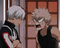 Todoroki y Bakugo