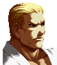 Geese Howard