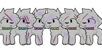 The 6 slaves