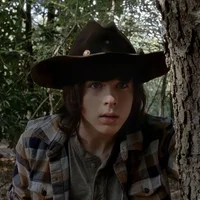 Carl grimes