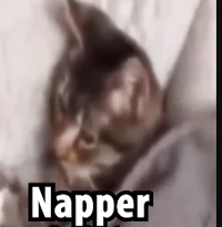 Napper
