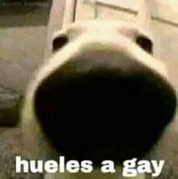 -00 INFORMACIONES ñ