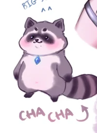 Racoon