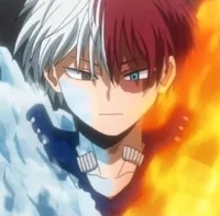 Shoto todoroki