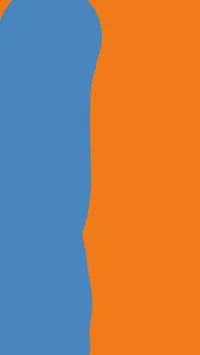 ___Straw Hat Crew___