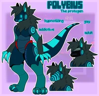 Polybuis