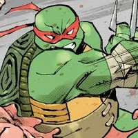 IDW Raphael 