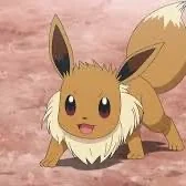 eevee from pokemon