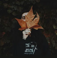 009 NICHOLAS RUFFILO