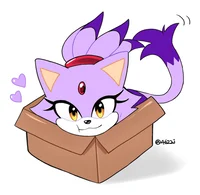 Blaze the cat