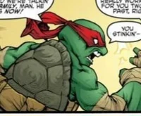 IDW Raphael 