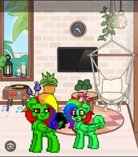 Maya and rainbow pon