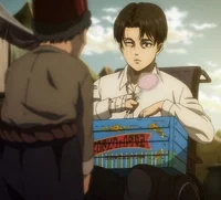 Levi Wheelchair 