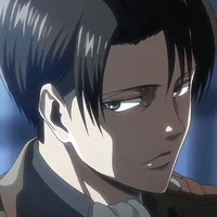 Levi