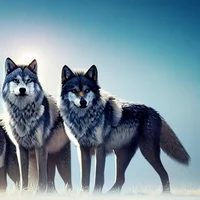 The pack 