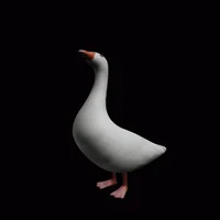 A friend