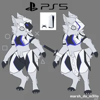 PS5_Proto