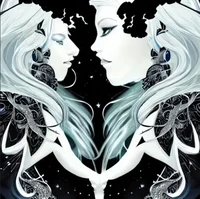 The Void Twin Sister