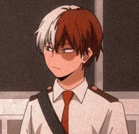 - Shoto Todoroki -