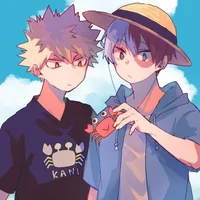 Mha Summer 