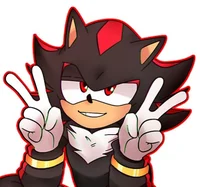 Shadow the hedgehog
