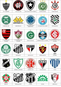 Liga Brasileiro Rp