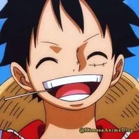 Monkey D Luffy 