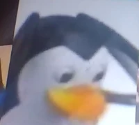 PenguinNootNoot