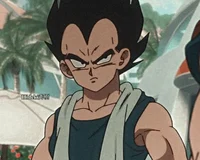 Vegeta Husband