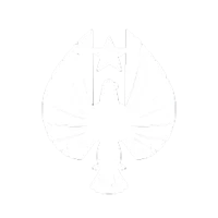 Pacific rim roleplay