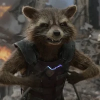 Rocket Raccoon