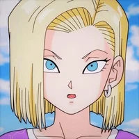 Android 18 Wife