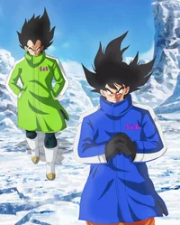 Goku and Vegeta 