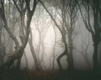 Make your own legend