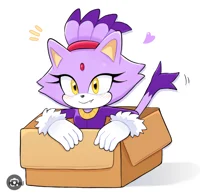 Blaze the cat