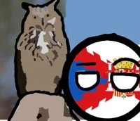 countryball y buho