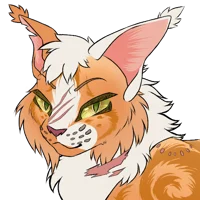 Light of orange leaf