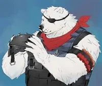 Polar Patroller